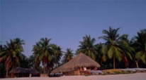 Iles Laccadives -- Bangaram Island Resort