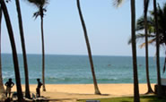 Côtes de Malabar -- Kerala : Coconut Bay Beach Hotel